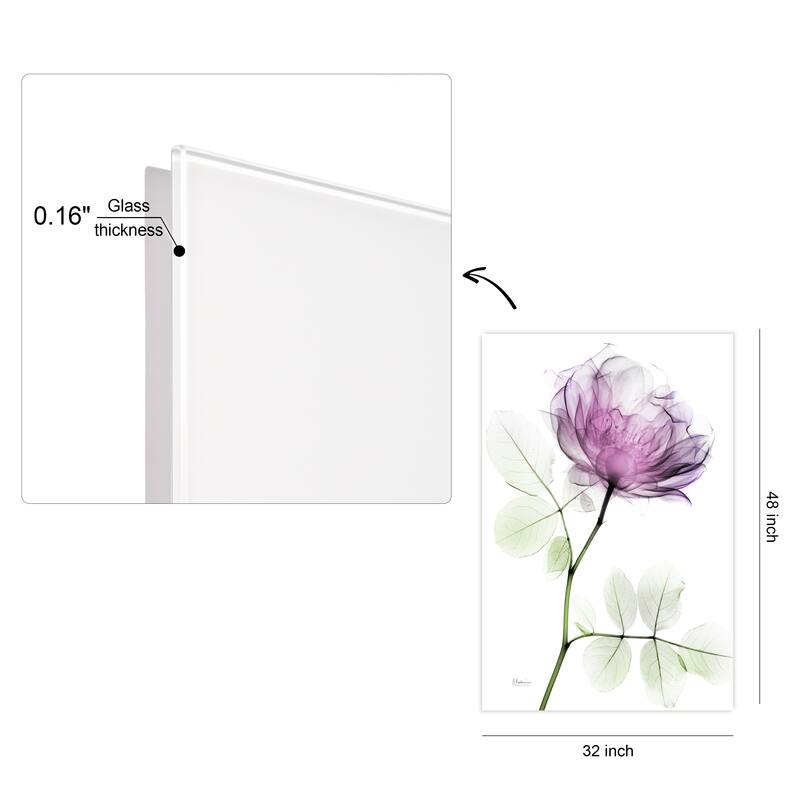 "Rose Dynasty 1" Frameless Free Floating Tempered Glass Panel Graphic Wall Art