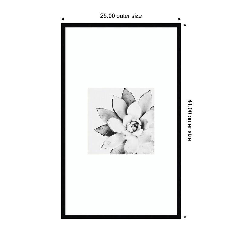 Kate and Laurel Modern Succulent by Tai Prints Framed Wall Art Print