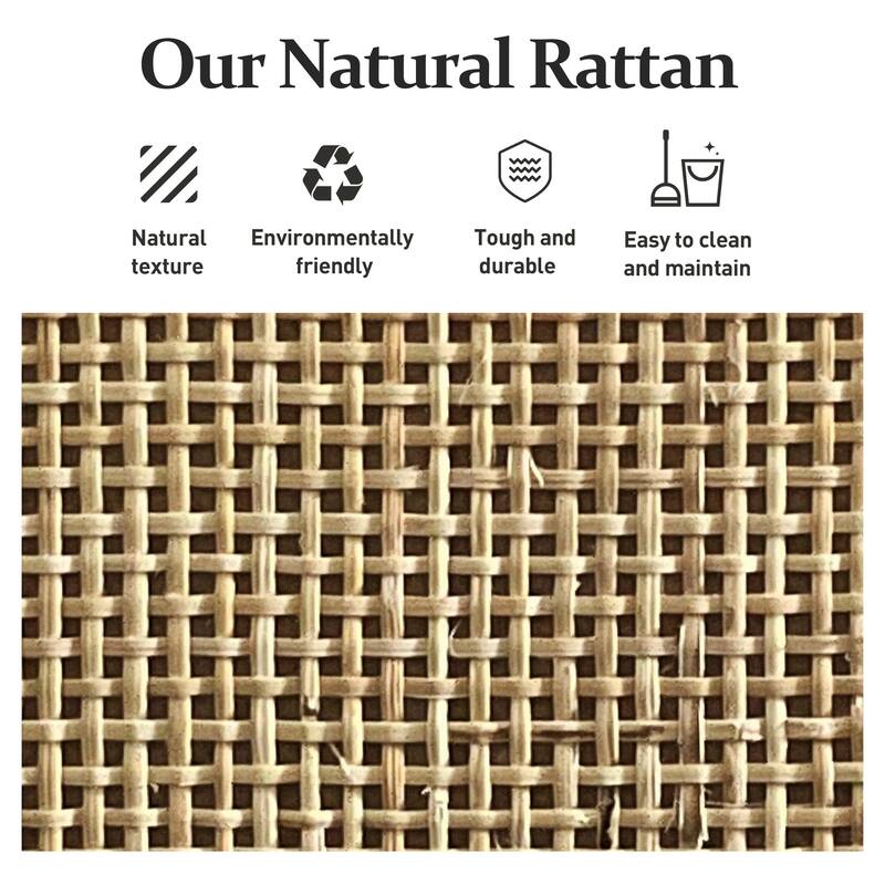 2 Door Rattan Storage Cabinet