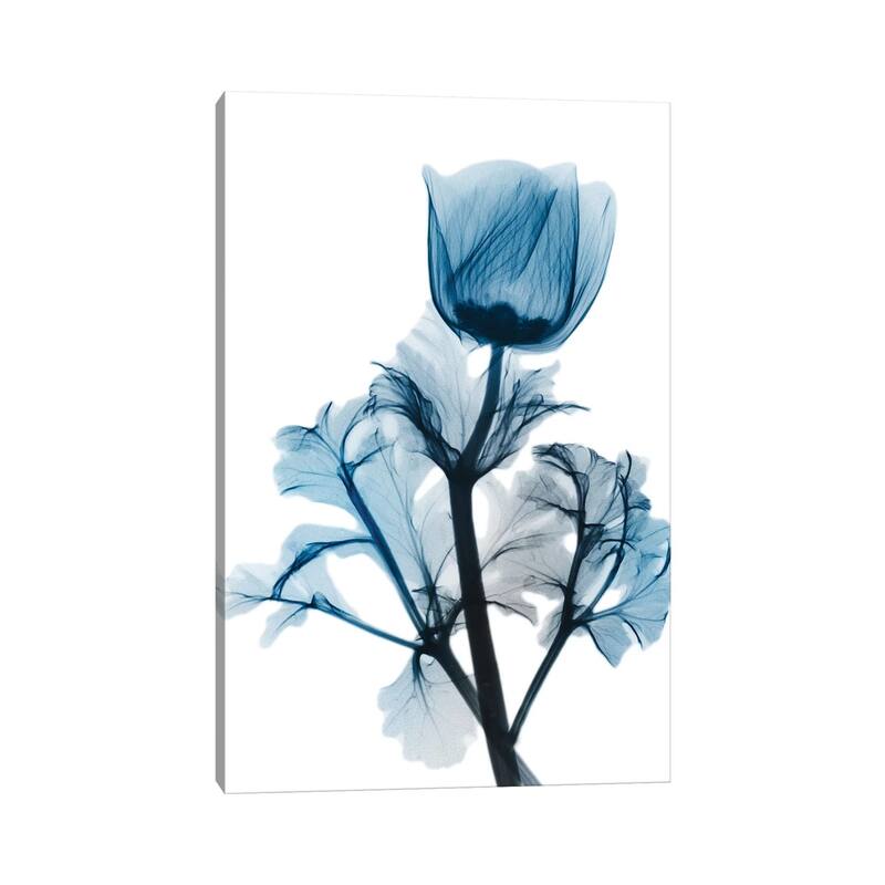 iCanvas "Sapphire Gleam I" by Albert Koetsier Canvas Print
