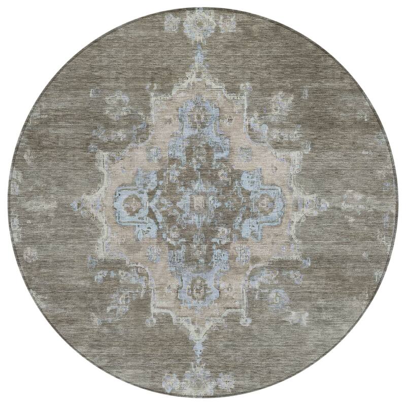 Machine Washable Indoor/ Outdoor Traditional Tabriz Chantille Rug