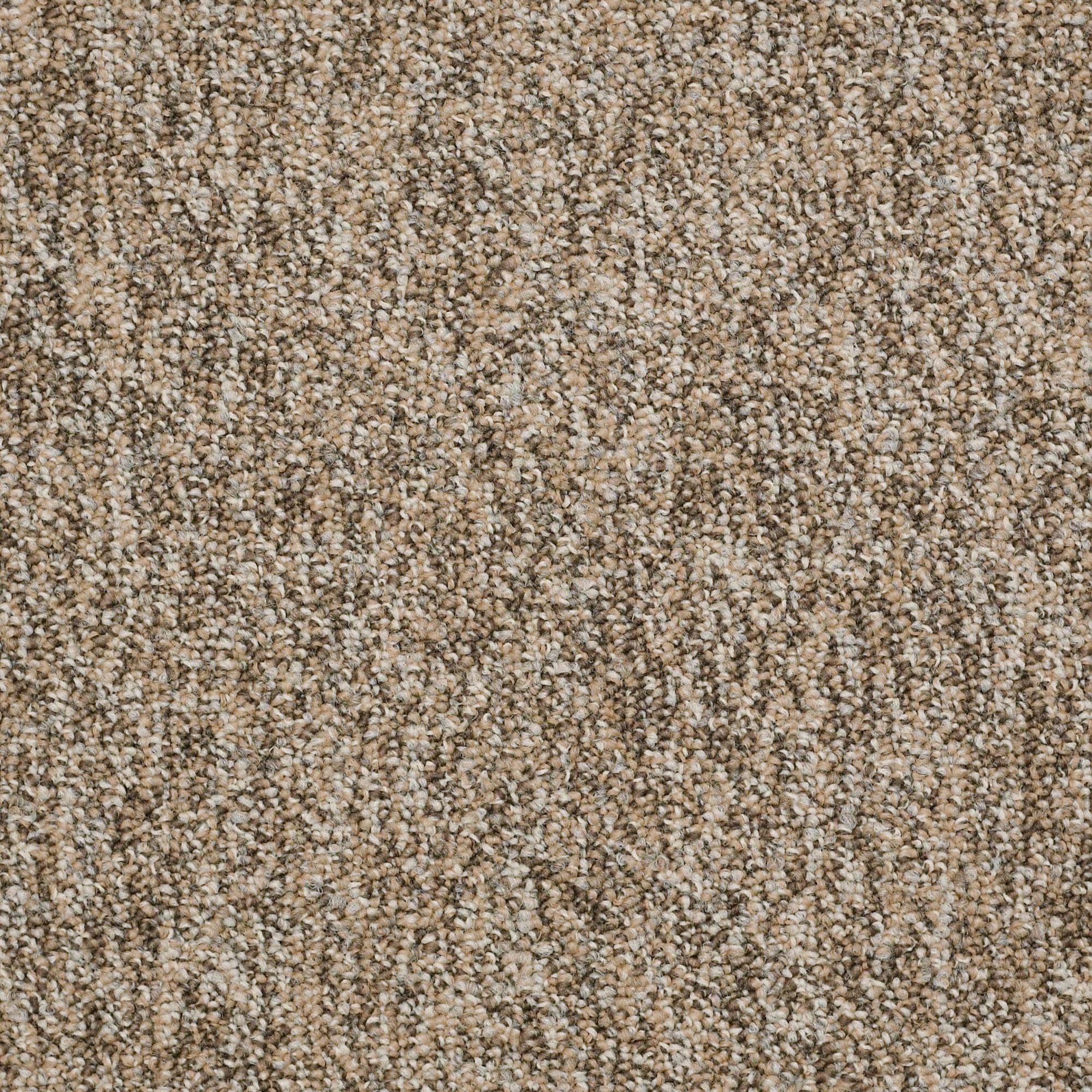 Shaw Philadelphia Commercial No Limits Tile 24" x 24" Glue Down Carpet