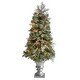 preview thumbnail 3 of 8, 4' English Pine Xmas Tree in Urn with 413 Tips and 100 LEDs - 48” H x 23” W x 23” D
