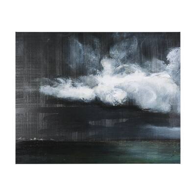 Stormy Skies II (30 x 24) Canvas Art Print