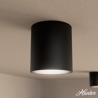 Hunter + Jasmine Roth Canoga Flush Mount Ceiling Light - Kitchen, Hallway - Contemporary - Influencer Favorite!