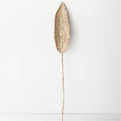 Planta De Praia - Natural