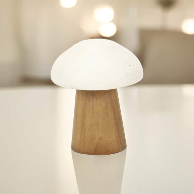 Hareton Forest Mushroom Table Decor - Small