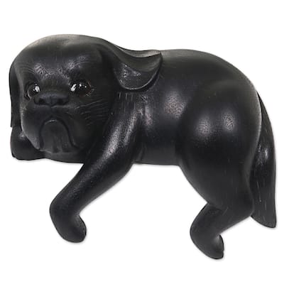 Handmade Curious Shih Tzu in Black Wood sculpture (Indonesia) - 25 x 19 x 15