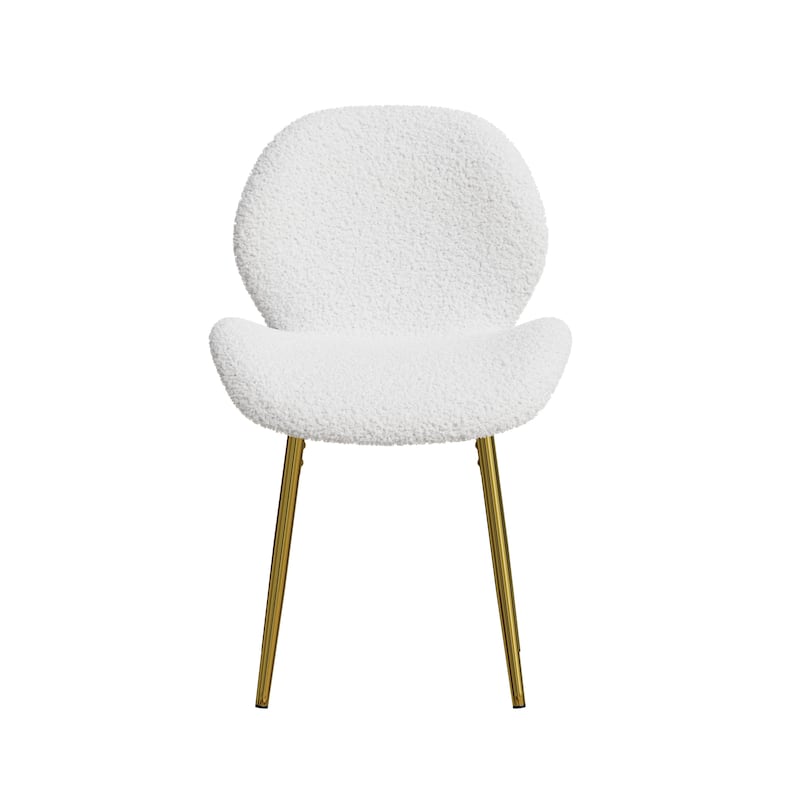 Set of 2 Modern Minimalist Teddy Velvet Dining Chairs