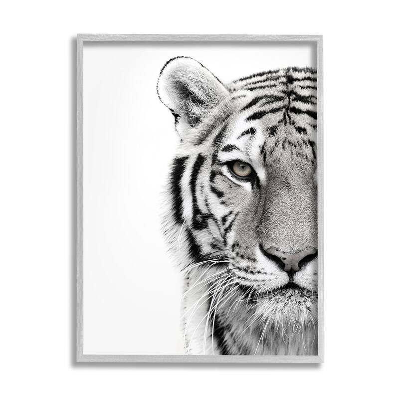 Stupell White Tiger Close Up Black and White Photography Framed Giclee Texturized Art by Design Fabrikken