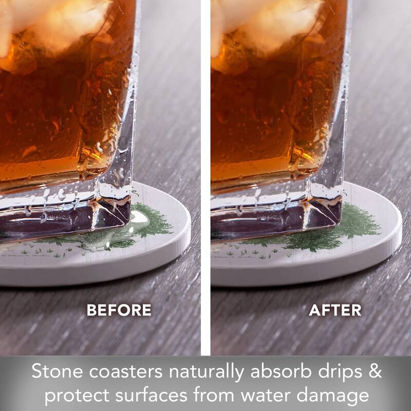 CounterArt Winter Woodlands Absorbent Stone Tumbled Tile Coaster Set of 4 Made in The USA Protective Cork Backing