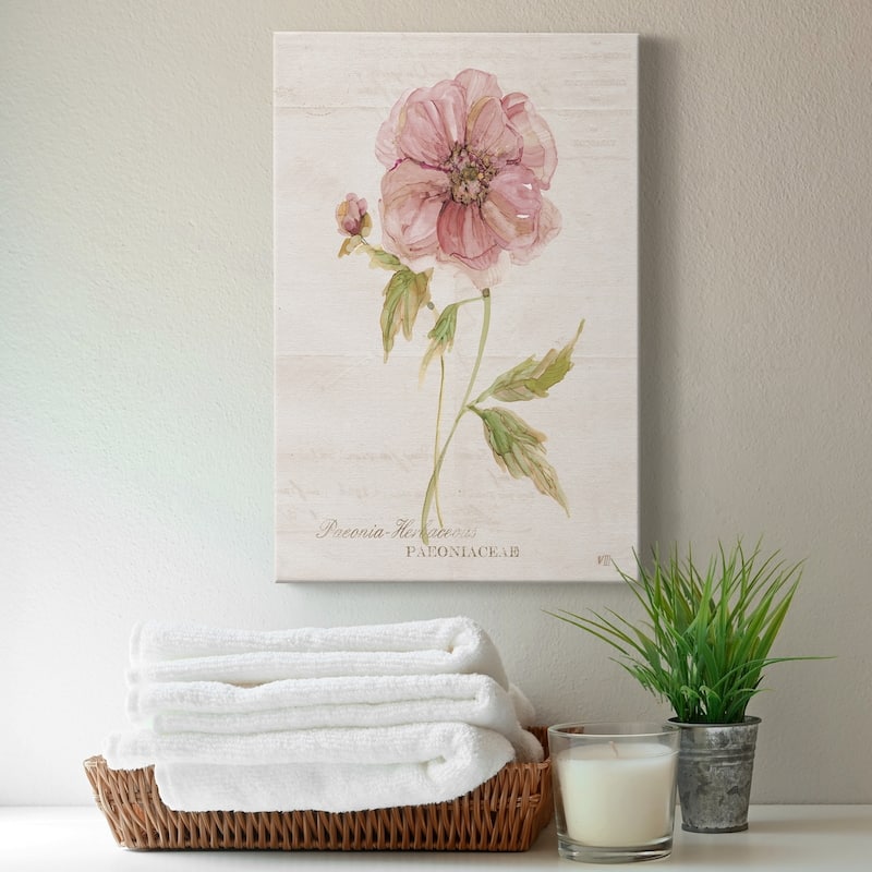 Soft Peony Premium Gallery Wrapped Canvas - Ready to Hang