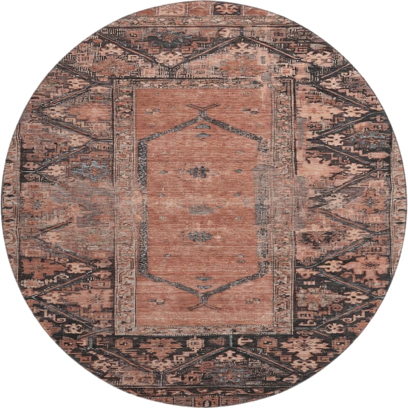 Premium Washable Super Soft Traditional Global Mayfield Rug