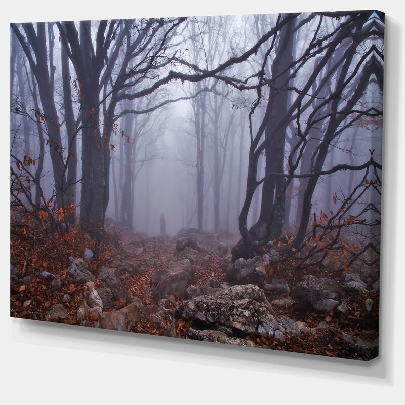 Dark Foggy Forest in Autumn - Landscape Photo Canvas Print
