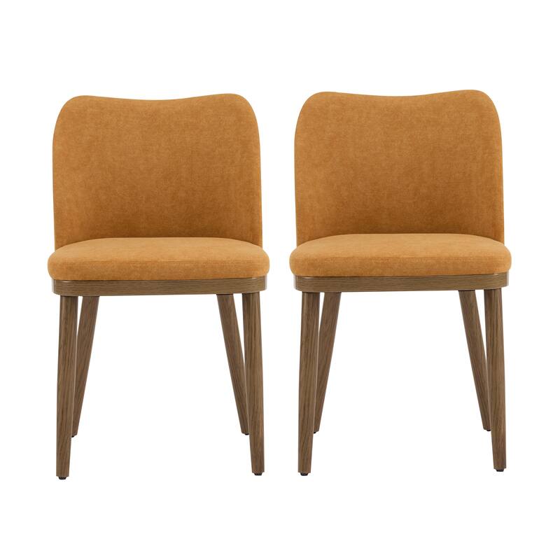 Aviana Fabric Upholstered Dining Chairs (Set of 2) by Christopher Knight Home