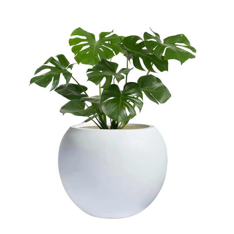 DreamPatio Riverside Fiberstone Composite Ball Planter for Indoor/Outdoor - Smooth Automotive 2K Coating - 13x13x10 - White