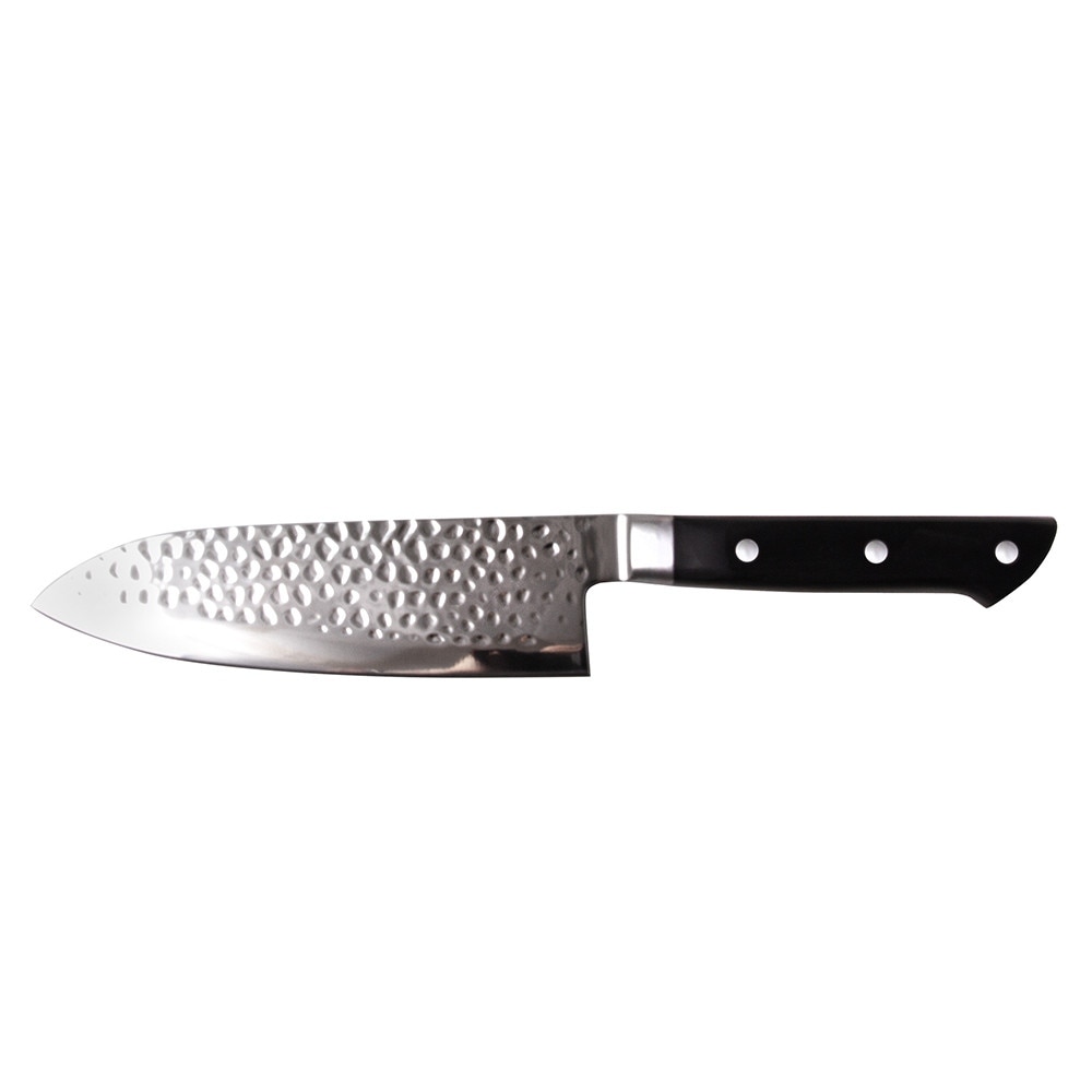 Sasaki Takumi Japanese AUS-10 Stainless Steel Chef Knife with Locking Sheath, 8-inch, Black