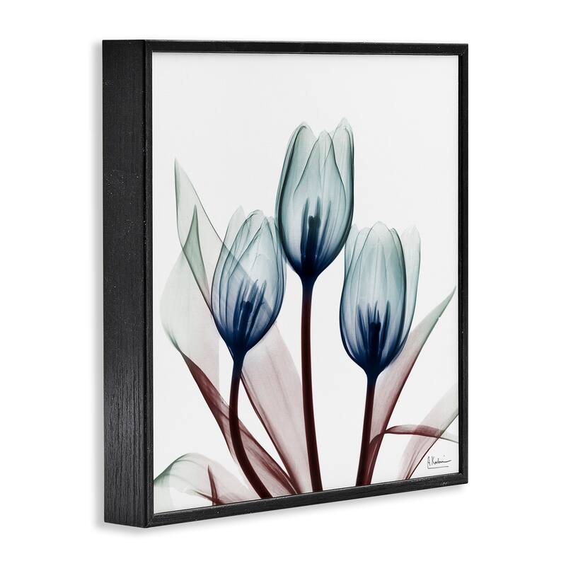 Stupell Chic Blue Translucent Tulips Framed Giclee Art Design By Albert Koetsier
