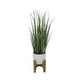 preview thumbnail 6 of 7, 50" Onion Grass in 10" Cathedral Ceramic Pot 30"H Small