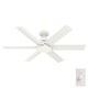 preview thumbnail 4 of 28, Hunter 52" Kennicott Outdoor Ceiling Fan, Wall Control - Contemporary, Industrial, Transitional - Windmill - Damp Rated!