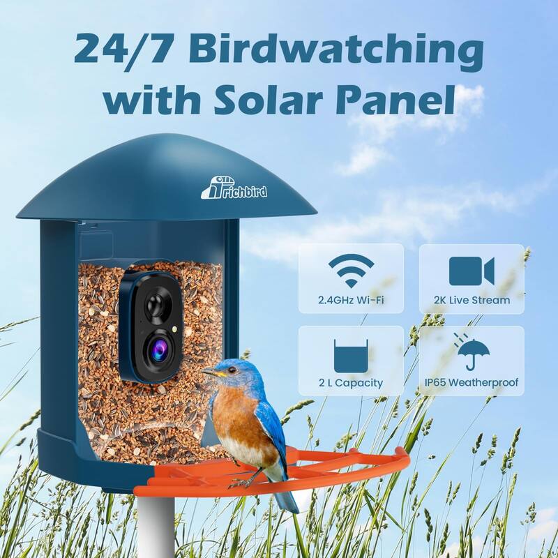 Smart Solar Bird Feeder with Camera and Interactive App