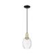Option Clear / Black Antique Brass