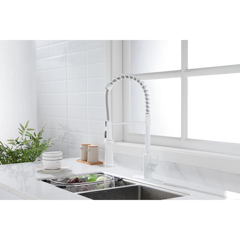 Kitchen Faucet with Pull Out Spraye