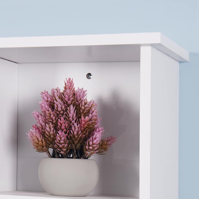 Wall Mount Medicine Cabinet with a Door