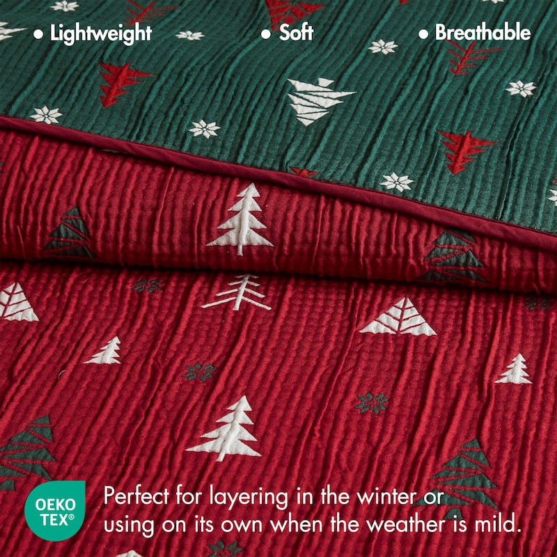 Madison Park Winter Coverlet Mini Set