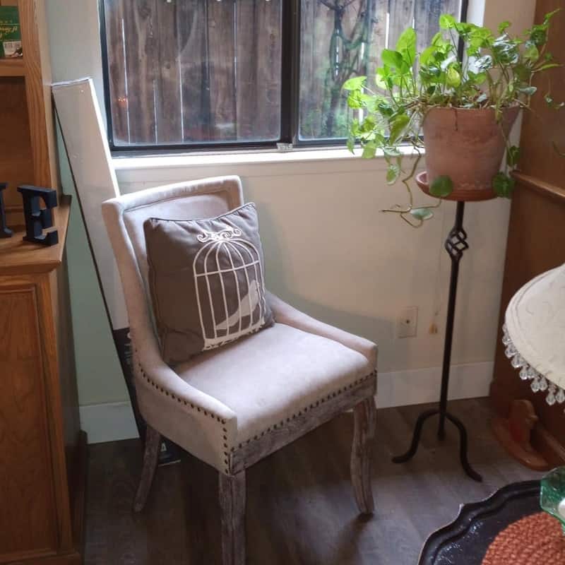 Thickened Side Dining Chair with Solid Wood Legs Set of 2