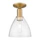 Option Brushed Brass / Seedy