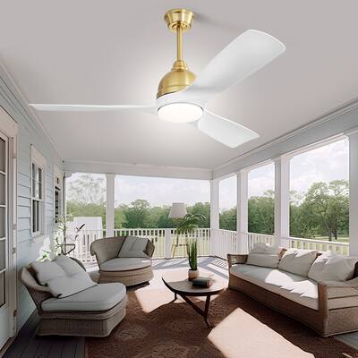 54 inch Modern Indoor or Outdoor Downrod Smart Ceiling Fan with Light,Wall Switch&APP Control,Sloped Ceiling Adaptable