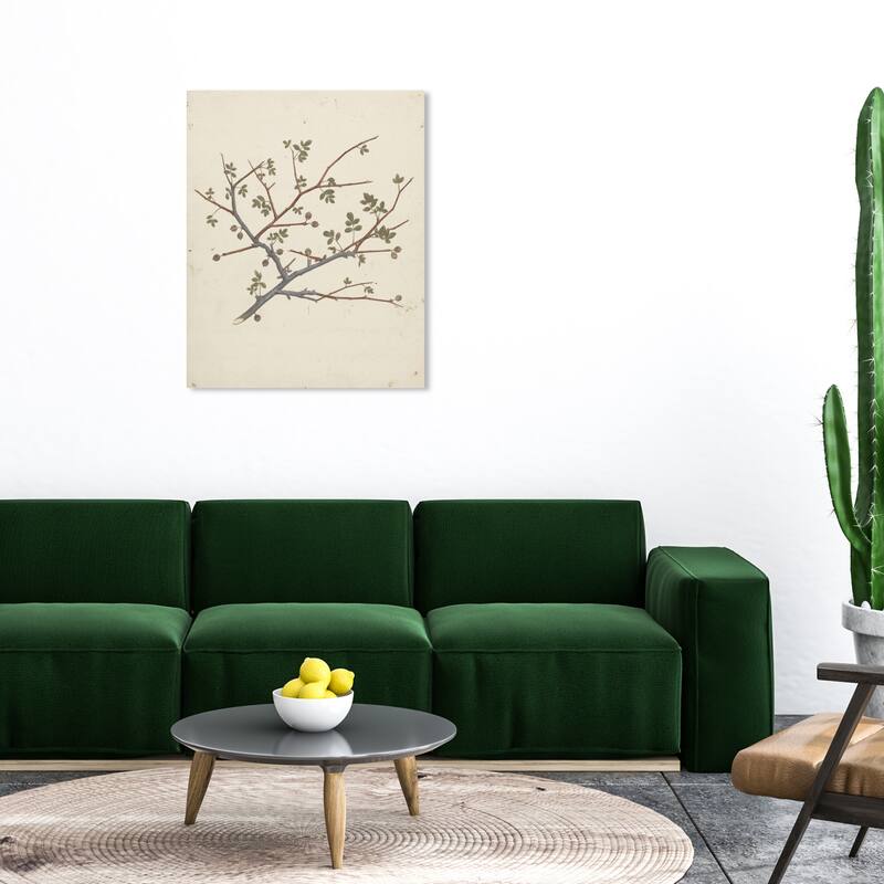 Wynwood Studio Canvas Floral and Botanical Balm of Gilead Green and Traditional Wall Art Canvas Print - 30 x 36