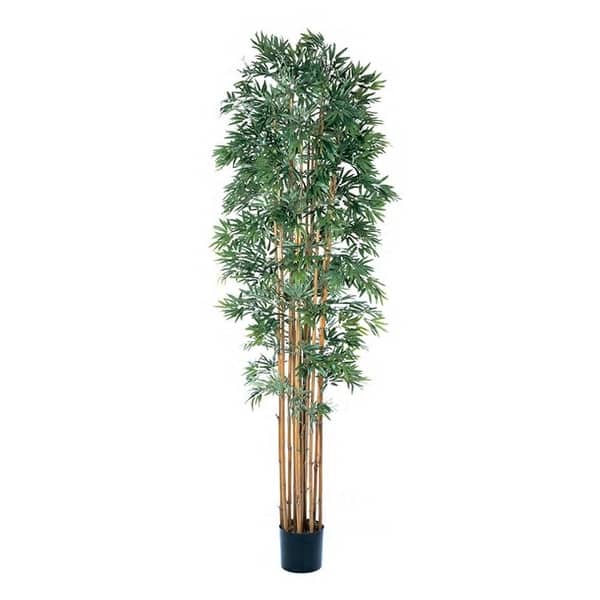 slide 1 of 1, Silk Bamboo Japanica 6-foot Tree