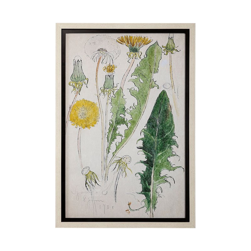 Maskros Akvarellmalning Framed Art Print