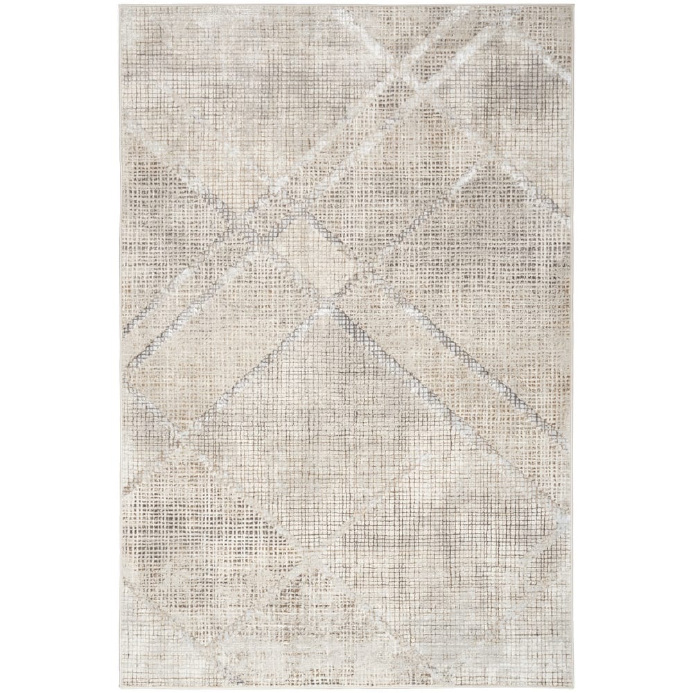 Nourison Home Iliana Indoor only Grey Abstract Area Rug