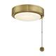 18W Dimmable LED Light Kit - Antique Brass