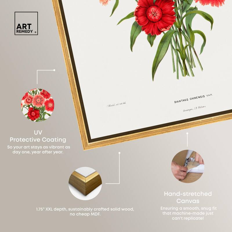 Rainbow Pink Flower by Wendel Canvas by Art Remedy