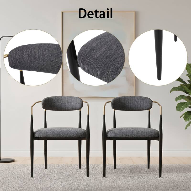 Modern Luxe Dining Chairs (Set of 2)
