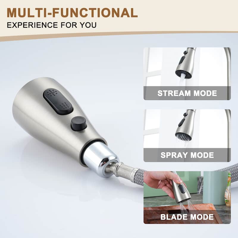 Single-Handle Kitchen Sink Faucet With Pull-Out Sprayer