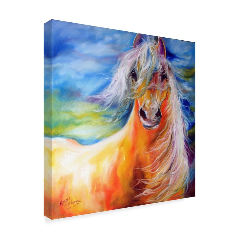 Marcia Baldwin 'Bright Day Equine' Canvas Art