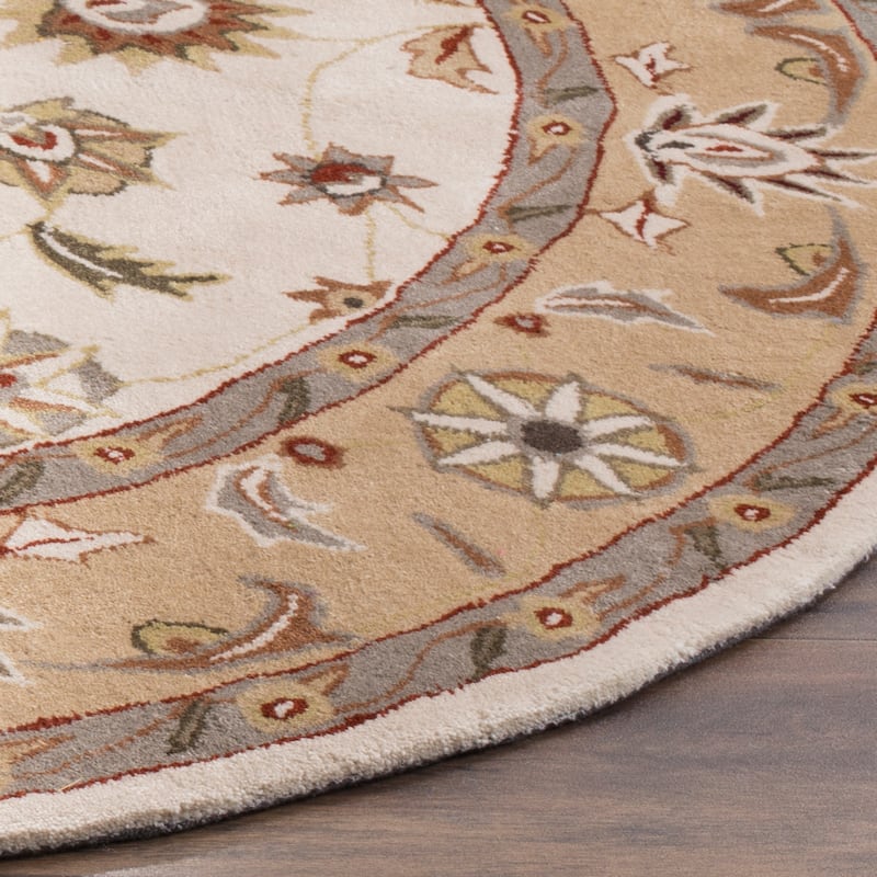 SAFAVIEH Handmade Total Performance Sofiea Oriental Rug