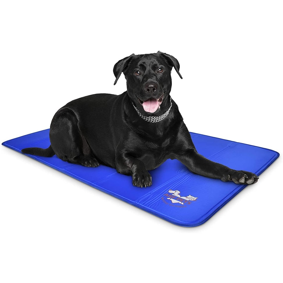 Arf Pets Dog Cooling Mat 35”x55”, Durable, Non-Toxic Gel Dog Bed Mat for Kennels, Crates & Beds