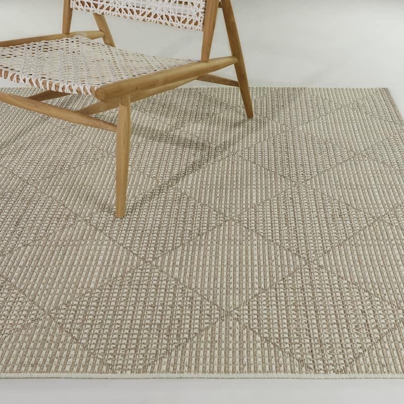 Bisset Checkered Textured Indoor/Outdoor Area Rug - 7'10" x 10' - White