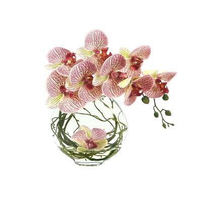 Orchid Floral in Glass Vase