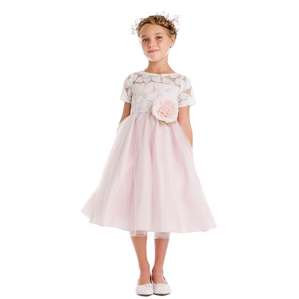 Shop Little Girls Blush Soft Spring Jasmine Lace Tulle Easter Dress - Free Shipping Today ...