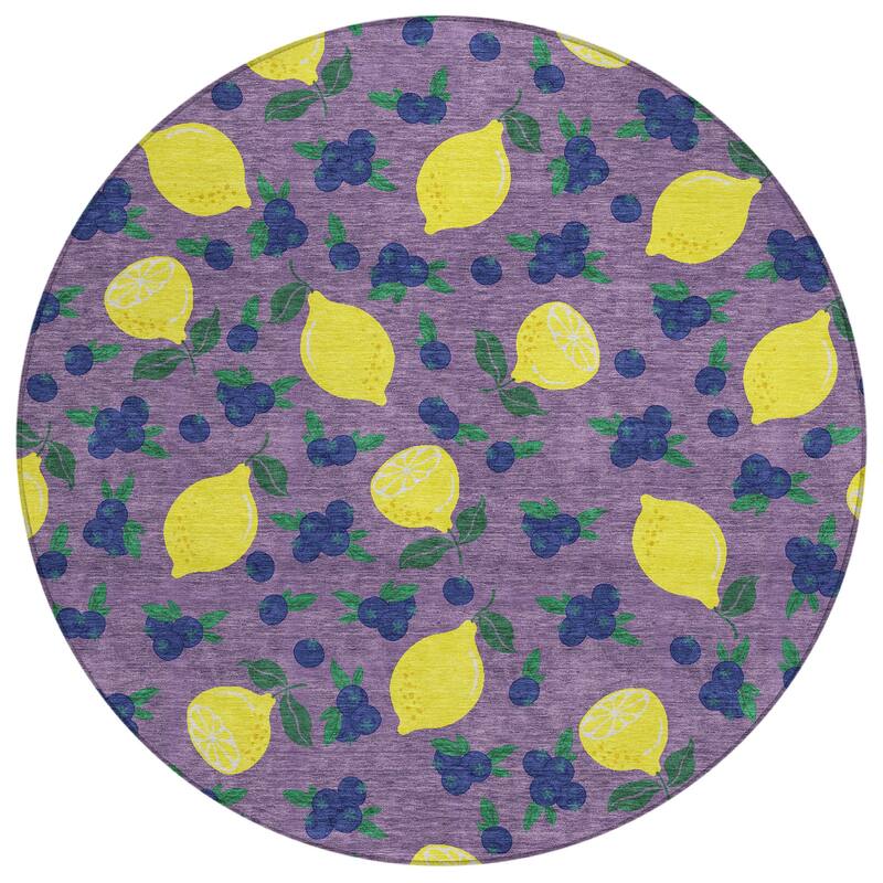 Machine Washable Indoor/ Outdoor Citrus Berry Chantille Rug