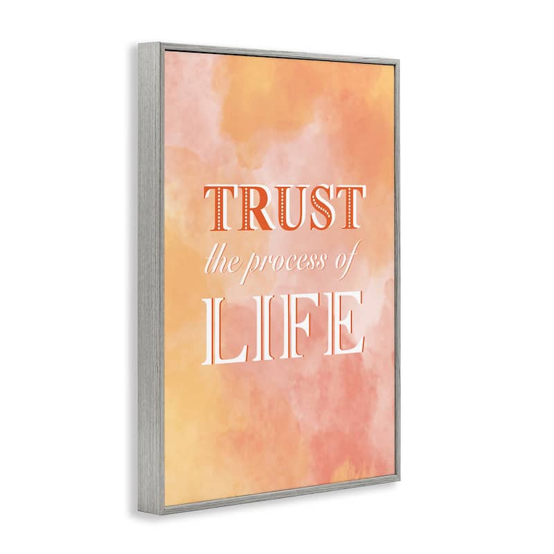 Stupell Trust The Process Of Life Framed Giclee Art Design By Martina Pavlova