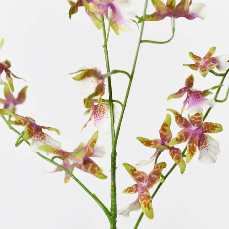 Silk Decorative Artificial Dancing Lady Orchid(Pack of 1 Branch)