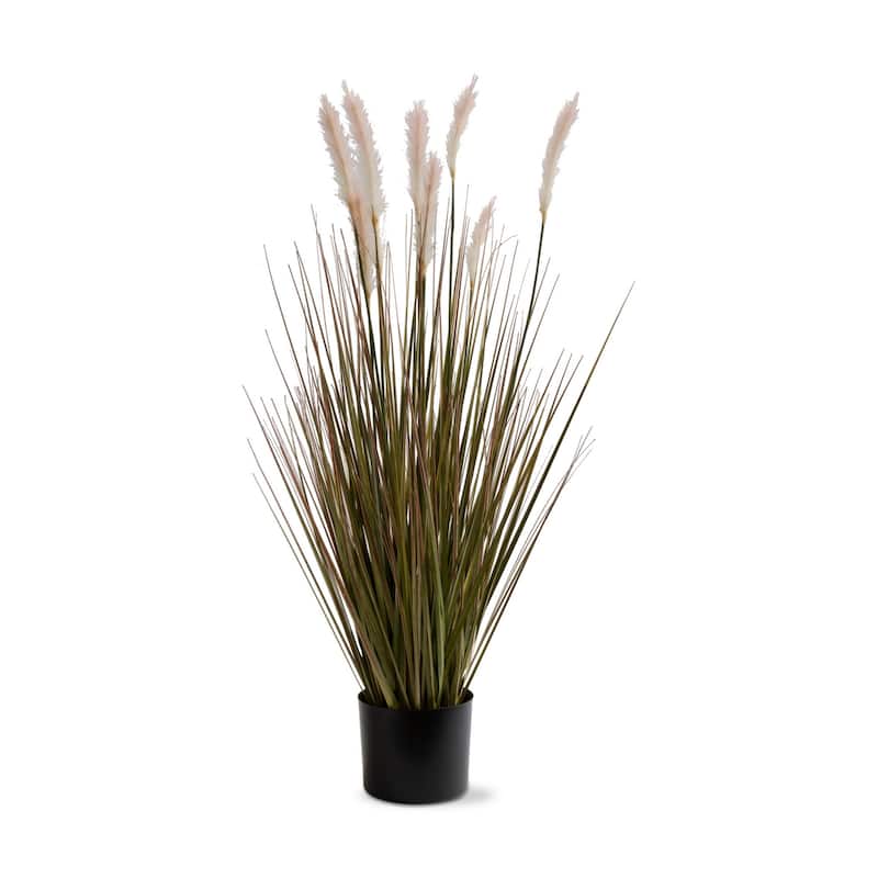 Foxtail Grass